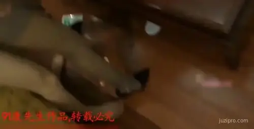 91康先生与97年美女酒店大战