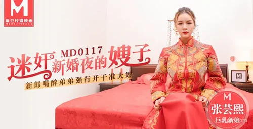 新婚夜的嫂子剧情解读