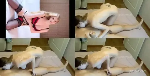 英格兰金丝雀猫纯种吗