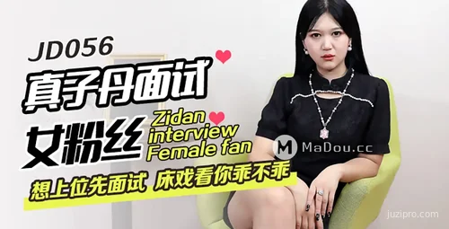 精东传媒面试女粉丝奇遇