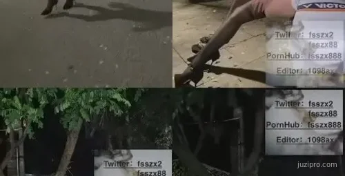 推特网红冯珊珊户外透视魅力