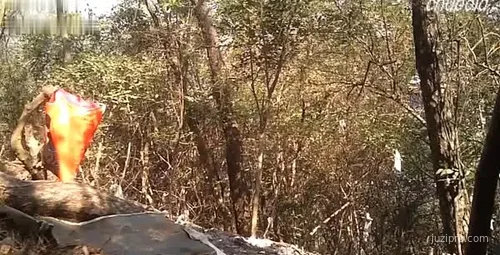 厂长经理奖员工惹争议