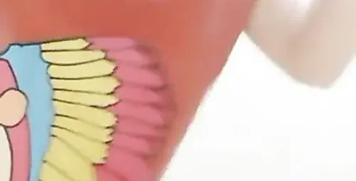 娇小美女美眉夜晚约会学生小哥开房