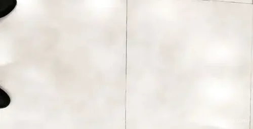 探花与白肤美空姐沙发互动