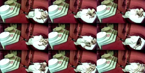 中年与长发美女酒店趣玩-截图2