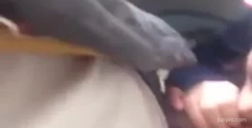 与列车员厕谈体验