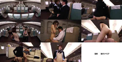 SDDE-491 航空员制服 贴身服务-截图2