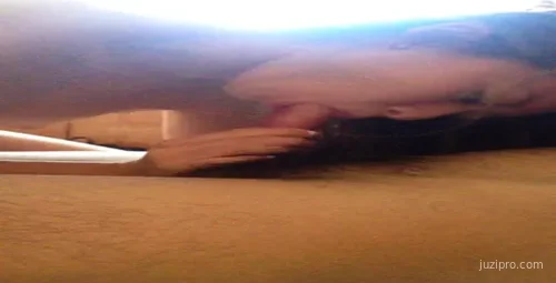 新加坡网红事件解析-截图2