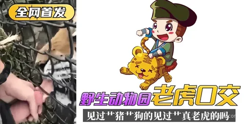 野生动物园老虎事件引发关注