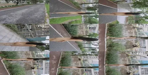 网红冯珊珊户外互动分享-截图2