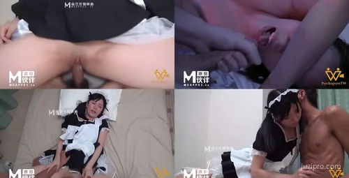 岛国女仆家政妇续集