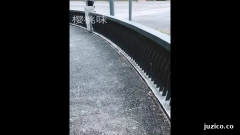 高颜值美女樱桃味 露出揉奶散步