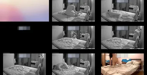 欧美珍贵私人生活视频整理-截图2