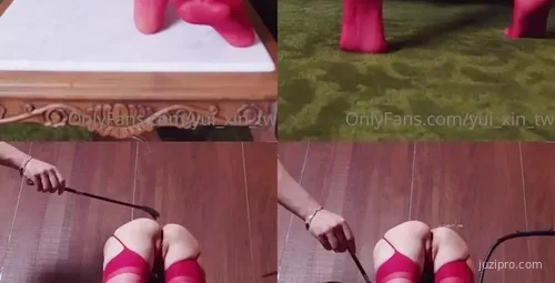 驯服辛尤里：动作态度魅力无限