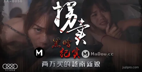 星空传媒 XK8056 捕拐行动（上）-蓝春语