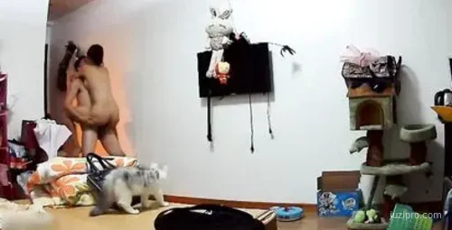 年轻夫妻亲密互动拥抱欢愉时光