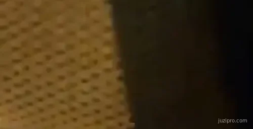 广东女主播深夜互动河南司机