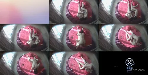 白嫩少妇与眼镜男友激情互动-截图2