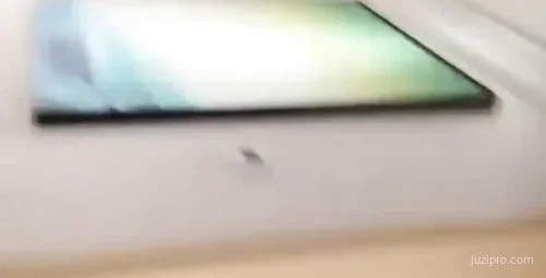 小宝约两位高颜值女生进行互动