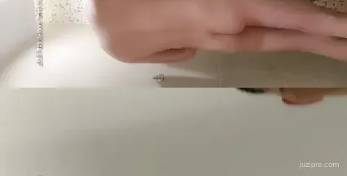 鸭哥探花与老板娘激情互动