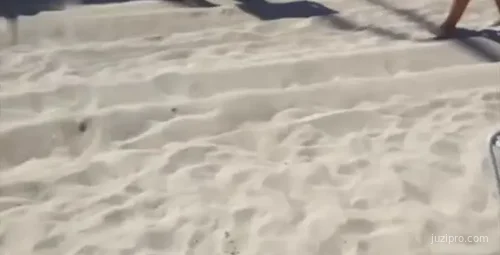 迪卡侬事件系列 海边体验