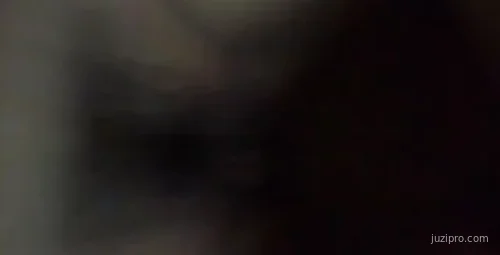 孙善平以物偿债