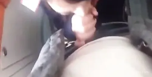 火车上遇见魅力女列车员的温馨互动