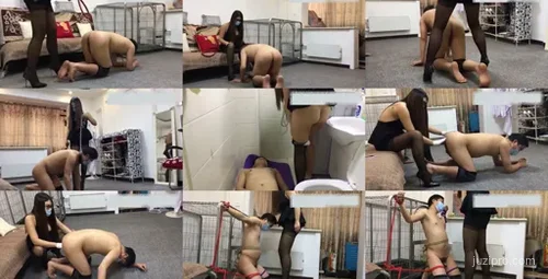 IT白领小李压力大雇人放松体验-截图2