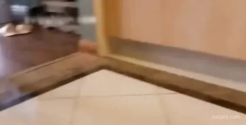 长腿美女黑丝舞诱惑土豪