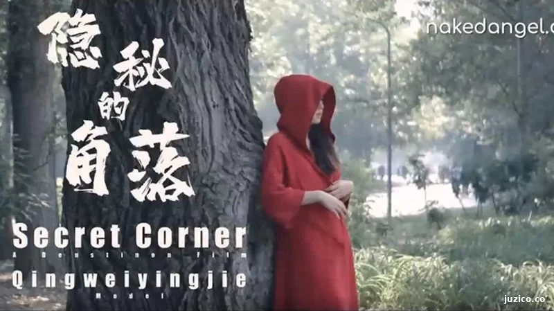 隐秘的角落-截图1