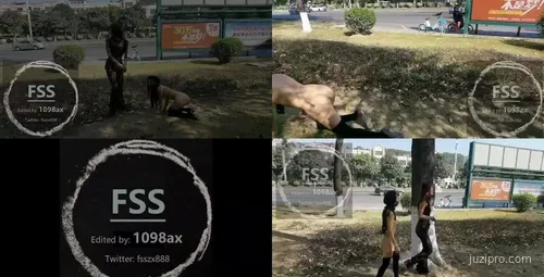 知名博主户外散步视频分享