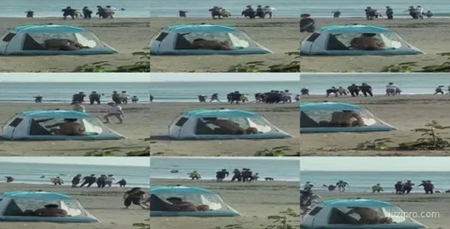 小青年和女友在海边帐篷私密互动-截图2