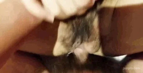 百度云泄密：情侣视频曝光