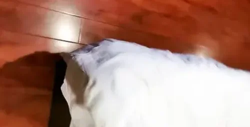 10.21高清录制两大叔酒店约会