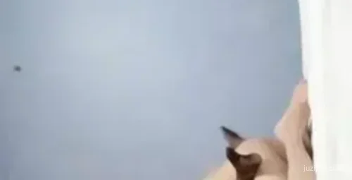 鸭哥探花短发少妇浴后服务